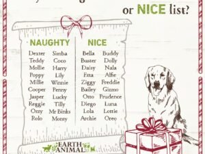 Is My Dog on the Naughty or Nice List?: Unveil the Truth!