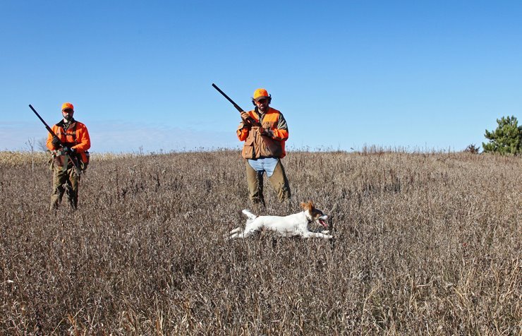 You are currently viewing How to Hunt Quail Without a Dog: Expert Tips & Tricks