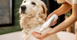 Read more about the article Is Natural Care Dog Shampoo Safe for Your Furry Friend?