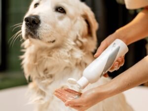 Is Natural Care Dog Shampoo Safe for Your Furry Friend?