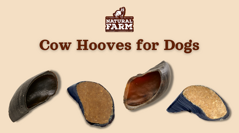 You are currently viewing Are Stuffed Hooves Safe for Dogs? Chew on the Facts