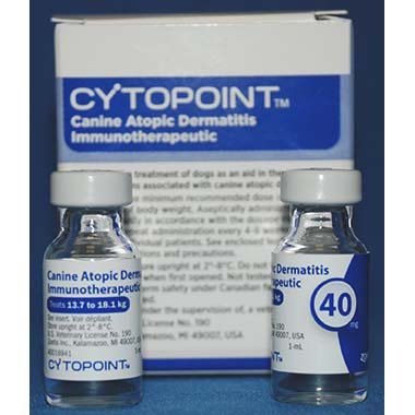 You are currently viewing Can I Buy Cytopoint for My Dog?: Vet-Approved Tips