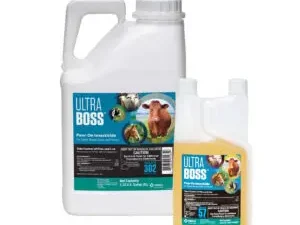Can You Use Ultra Boss on Dogs?: Vet Insights