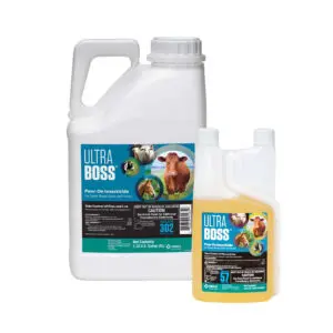Read more about the article Can You Use Ultra Boss on Dogs?: Vet Insights