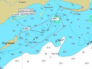 Read more about the article How to Get to Dog Island: A Step-by-Step Guide