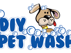 Do It Yourself Dog Wash Tucson: Easy & Affordable Tips