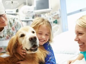 How Much Does It Cost to Rent a Therapy Dog: A Complete Guide