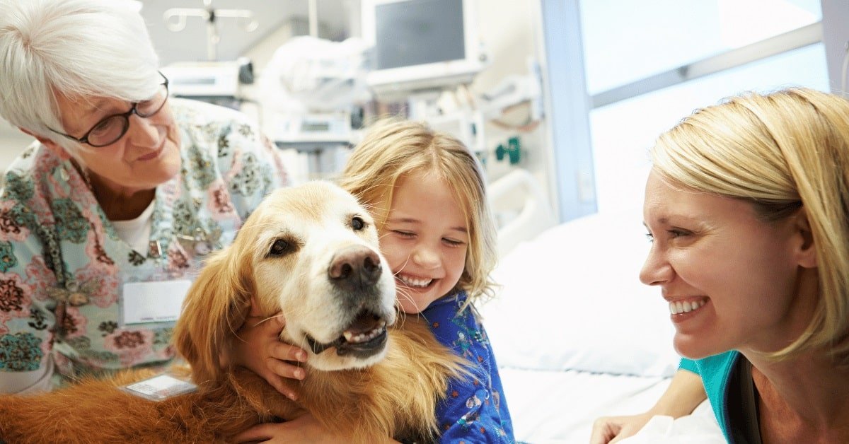 You are currently viewing How Much Does It Cost to Rent a Therapy Dog: A Complete Guide