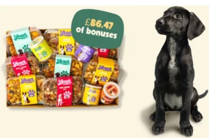 How Much Does a Dog Nutritionist Cost