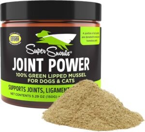 Read more about the article How Much Green Lipped Mussel for Dogs: Optimal Dosage Guide