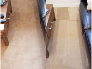 How to Get Dog Pee Out of Wool Carpet: Quick & Easy Fixes