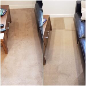 Read more about the article How to Get Dog Pee Out of Wool Carpet: Quick & Easy Fixes