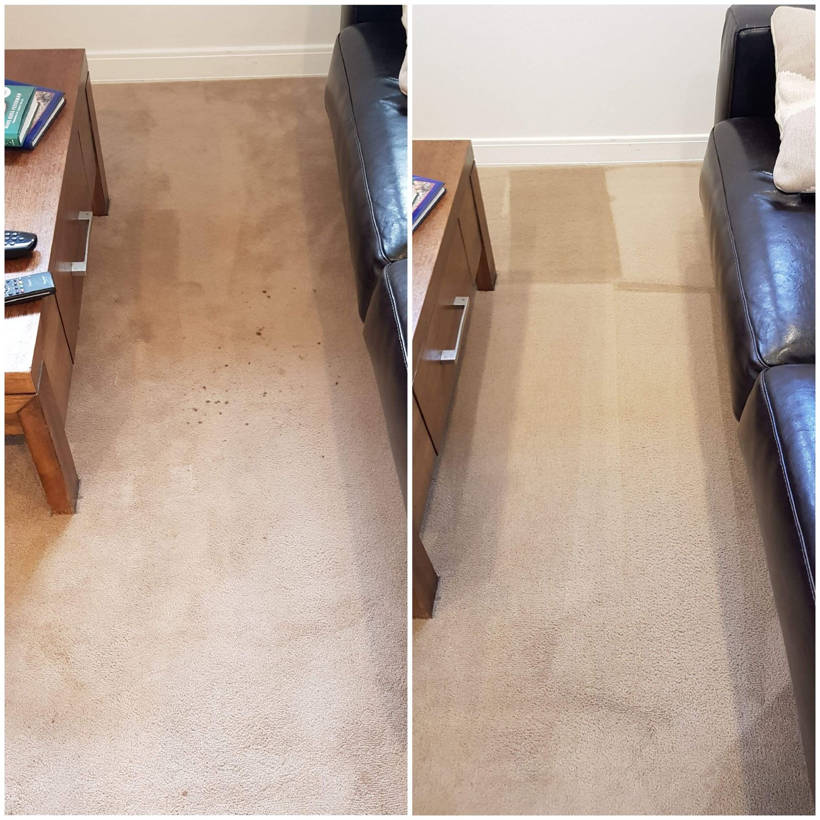 You are currently viewing How to Get Dog Pee Out of Wool Carpet: Quick & Easy Fixes