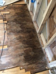 Read more about the article How to Get Dog Smell Out of Hardwood Floors: Effective Solutions