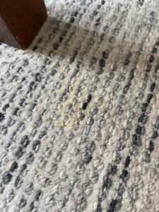 Read more about the article How to Get Dog Urine Out of Wool Rug: Ultimate Cleaning Guide