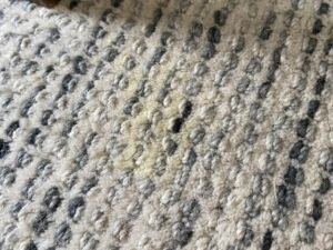How to Get Dog Urine Out of Wool Rug: Ultimate Cleaning Guide