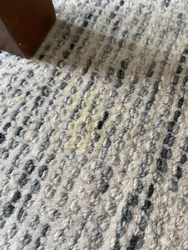You are currently viewing How to Get Dog Urine Out of Wool Rug: Ultimate Cleaning Guide