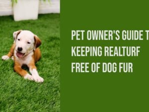 How to Keep Turf Clean With Dogs: Effortless Tips