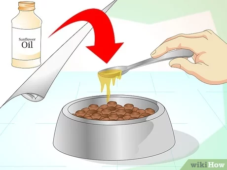 You are currently viewing How to Make a Dog’s Fur Soft: Easy Grooming Tips