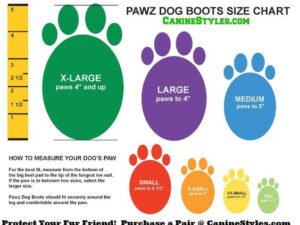 How to Measure Dog Shoe Size: A Perfect Fit Guide