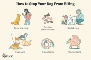 Read more about the article How to Stop Dog from Biting Himself: Expert Tips and Solutions