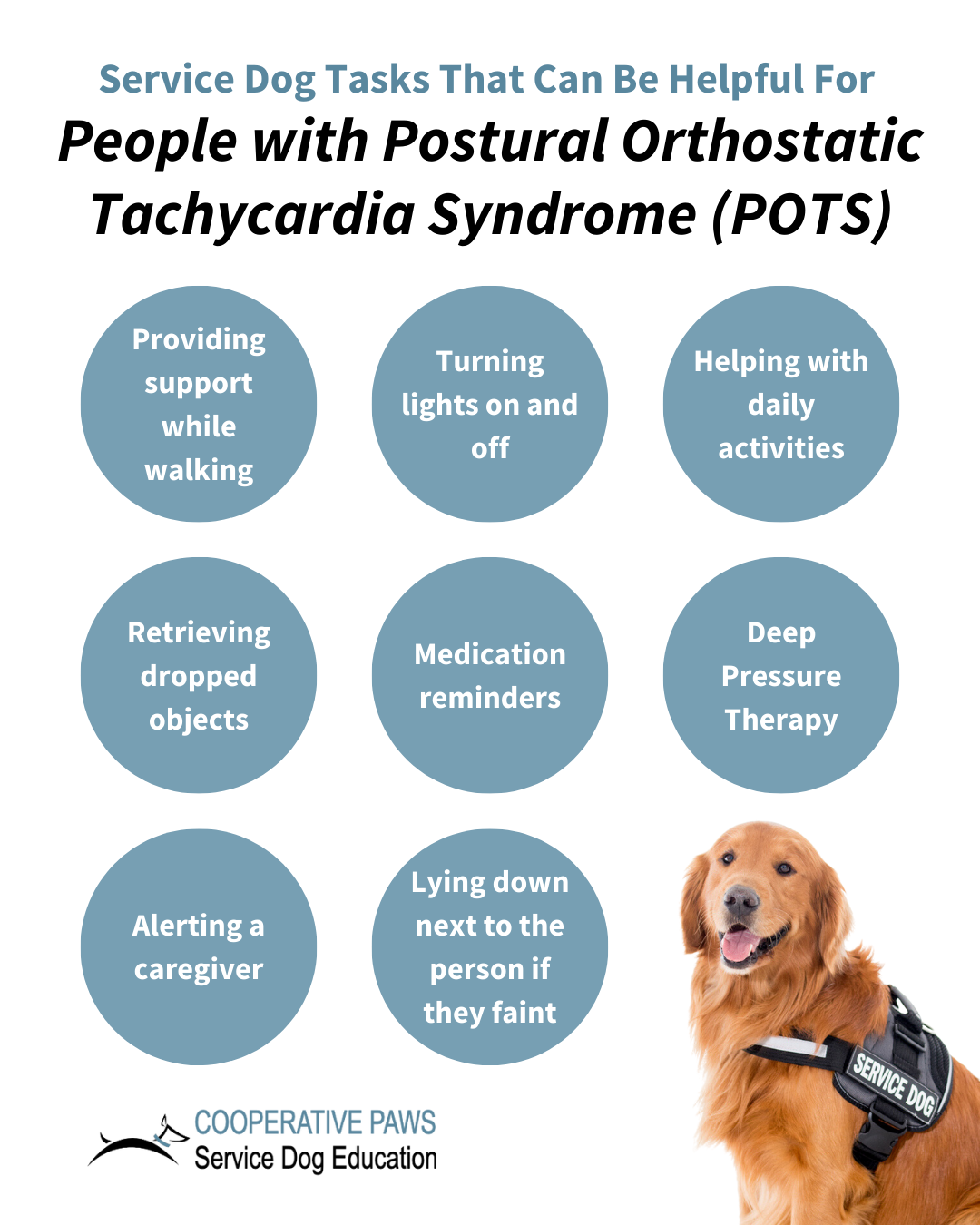 You are currently viewing How to Train a Service Dog for POTS: A Step-by-Step Guide