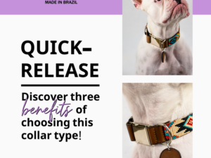 What is a Quick Release Dog Collar: Unleash Safety