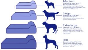 Read more about the article What Size Dog Bed for a Golden Retriever: Perfect Fit Guide