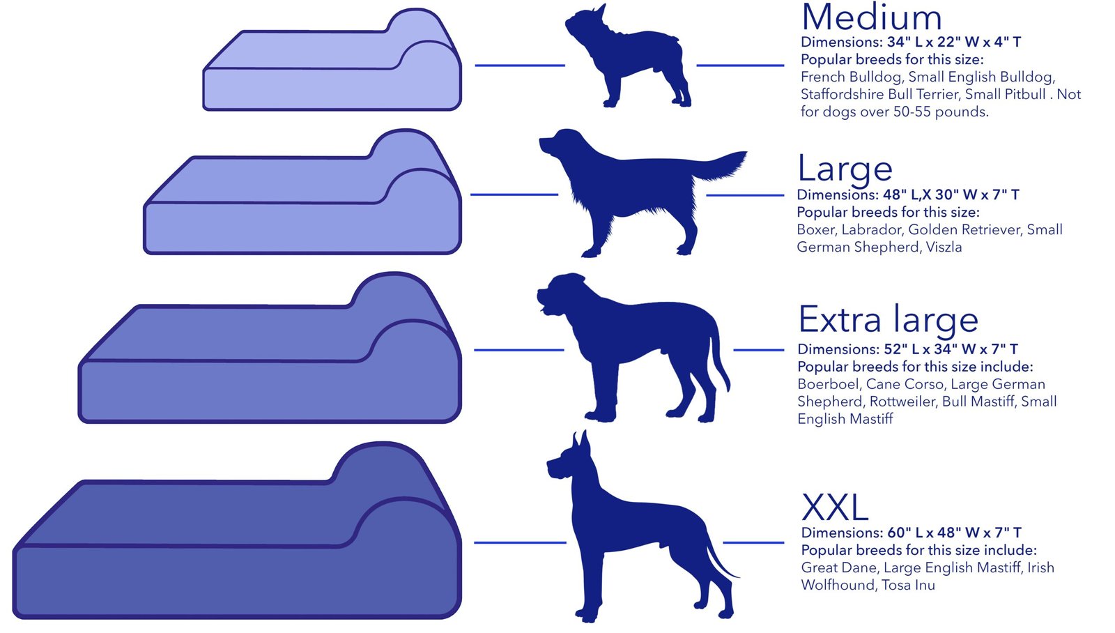 You are currently viewing What Size Dog Bed for a Golden Retriever: Perfect Fit Guide