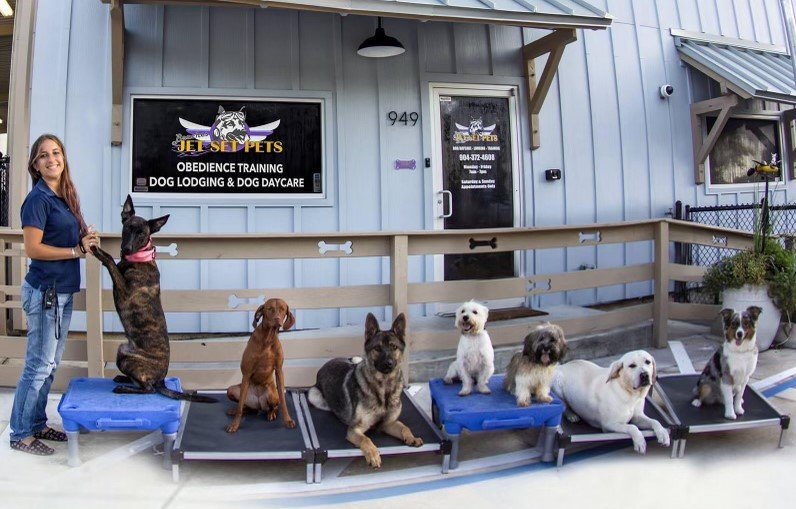 You are currently viewing How Much is Board And Train for Dogs? Unleash the Cost 2024!
