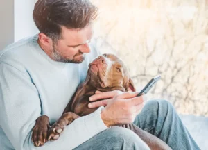 Read more about the article Why is My Dog Calm around Me But Not Others? Unraveling Loyalty