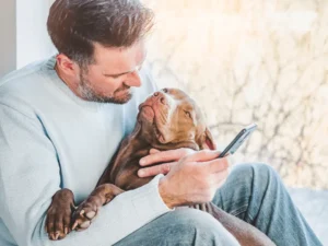 Why is My Dog Calm around Me But Not Others? Unraveling Loyalty