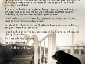 A Dog’s Last Will and Testament: A Heartfelt Legacy