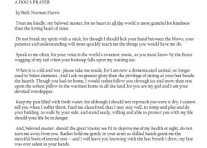 Read more about the article A Dog’s Prayer by Beth Norman Harris: Proven Soulful Reflections within 1 hrs