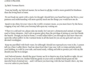 A Dog’s Prayer by Beth Norman Harris: Proven Soulful Reflections within 1 hrs