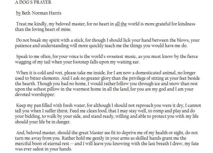 You are currently viewing A Dog’s Prayer by Beth Norman Harris: Proven Soulful Reflections within 1 hrs