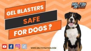Read more about the article Are Gel Blasters Safe for Dogs? Vet-Approved Insights 2024