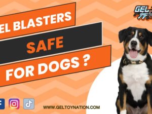 Are Gel Blasters Safe for Dogs? Vet-Approved Insights 2024