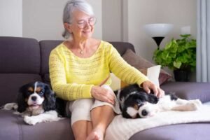 Read more about the article Why Seniors Should Not Get a Dog: Vital Insights 2024