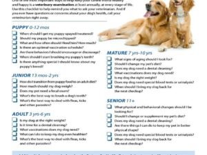 Can Dog Annual Vaccinations Coincide with Dental Cleanups? Ultimate 2024