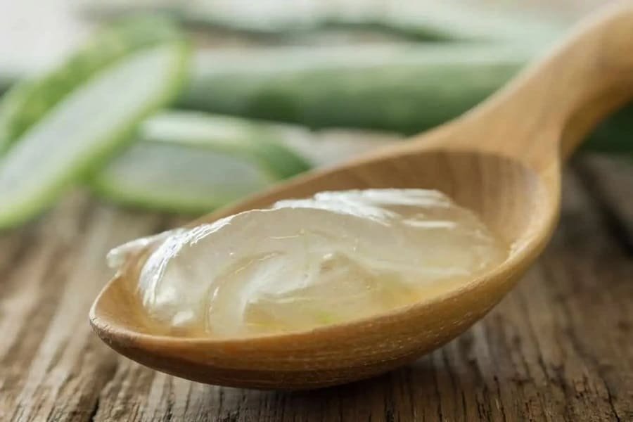 You are currently viewing Can Dogs Have Guar Gum? Vet Insights & Safety Tips
