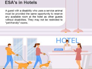 Can ESA Dogs Stay in Hotels? Unleash the Truth!