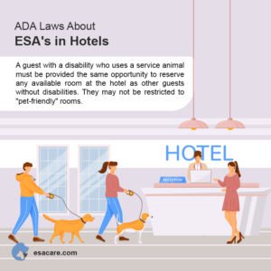 Read more about the article Can ESA Dogs Stay in Hotels? Unleash the Truth!