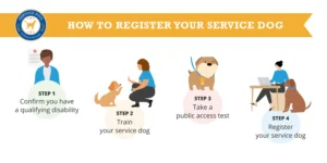 Read more about the article Can You Bring Your Service Dog to Work? Unleashed Truths