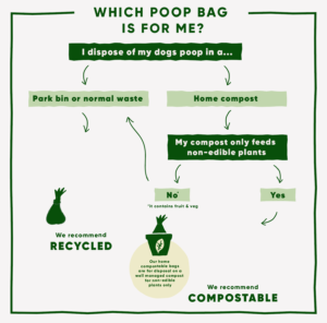 Read more about the article Can You Burn Dog Poop? Eco-Friendly Disposal Explored