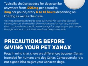 Can You Give Dogs Xanax Dose? Vet Insights & Safety Tips