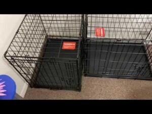 Read more about the article Can You Put Two Dog Crates Next to Each Other? Discover How! in 10 minute
