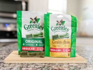 Do Greenies Cause Cancer in Dogs? Vet Insights Debunk Myths