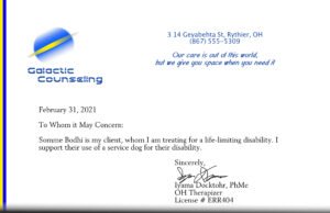Read more about the article Do You Need a Doctor’s Note for a Service Dog? Unveiled Special 2024!