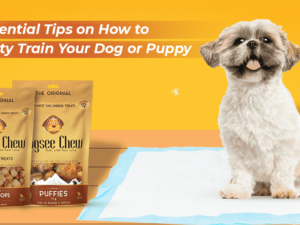 Will Spaying a Dog Help With Potty Training? Unveiled Truths